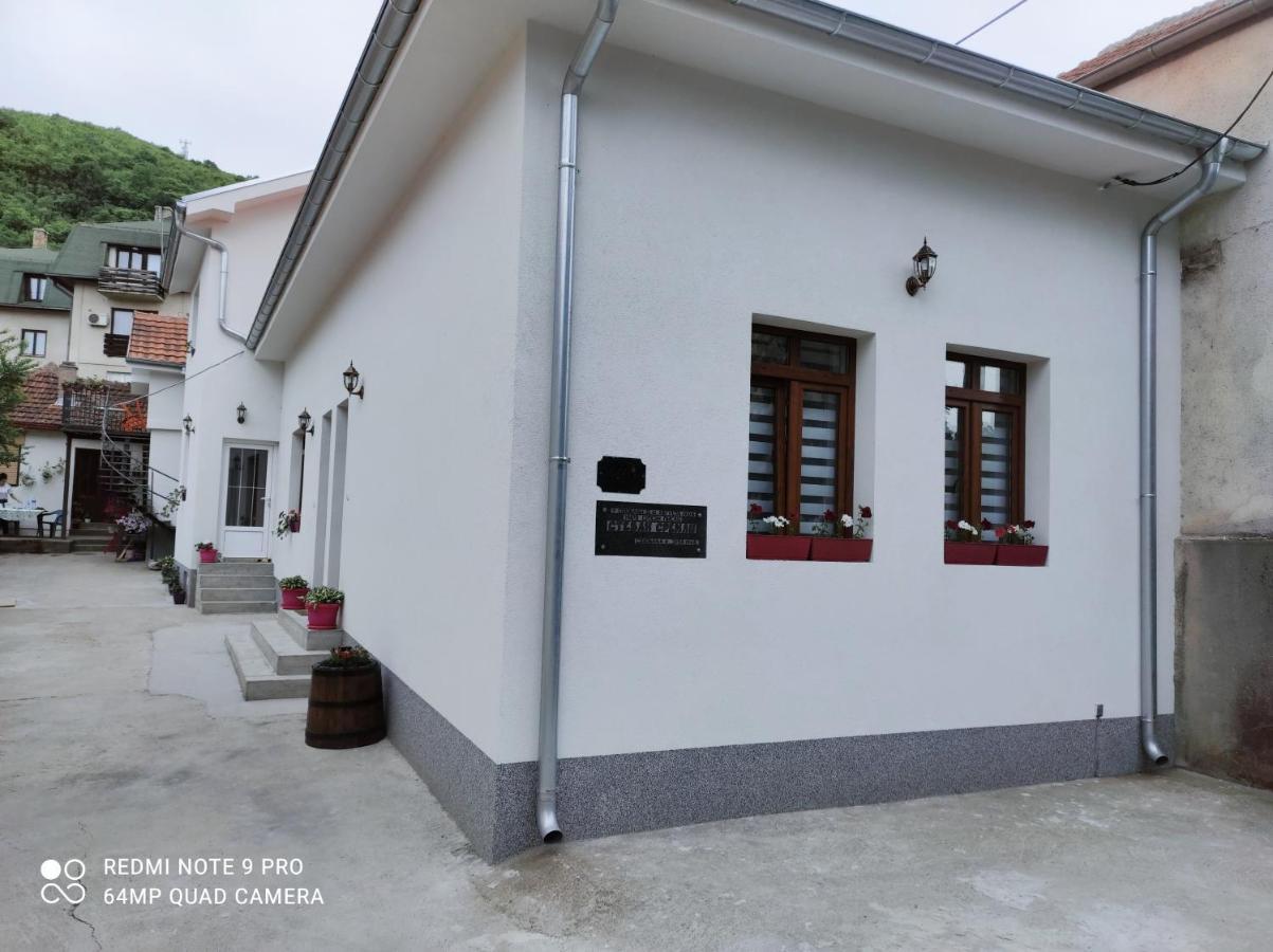 Stevan Sremac Sokobanja Extérieur photo